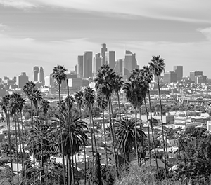 Los Angeles County Market Trend Report